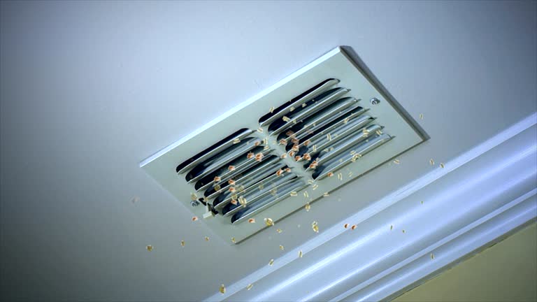 Home Air Vent Cleaning in Charles City, IA